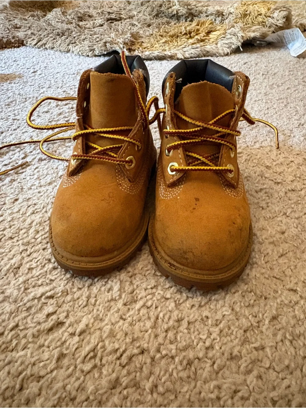 Timberland Kids Wheat Nubuck Boots with Black Collar